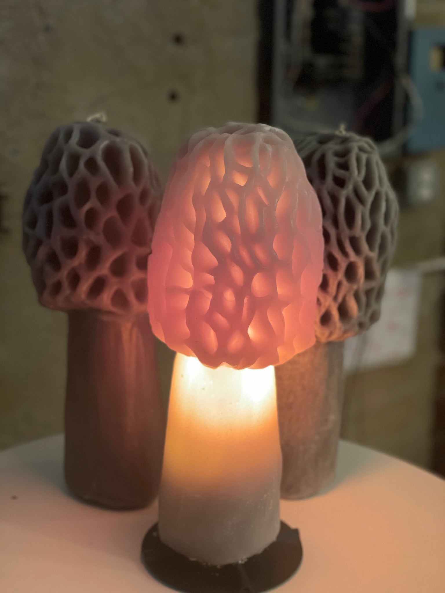 16 Morel Mushroom Candle (Large) – kelethin